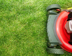 Lawn Mower